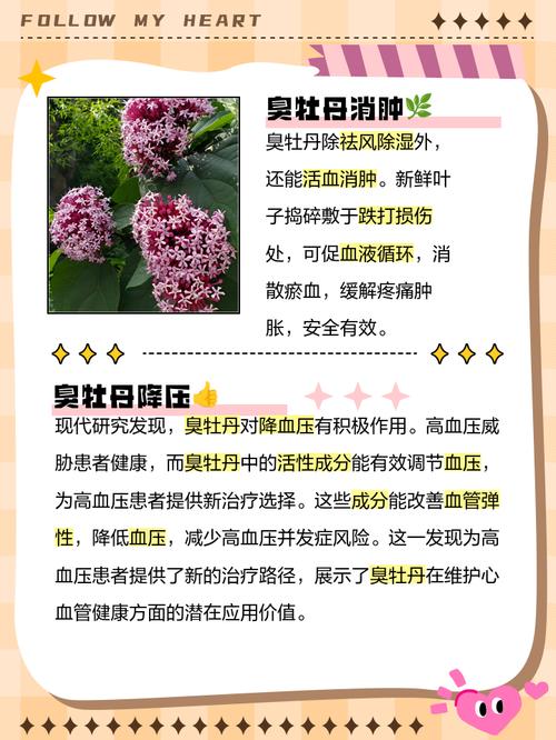 臭牡丹的病虫害及其防治？臭牡丹的病虫害及其防治方法？-第5张图片-优品飞百科