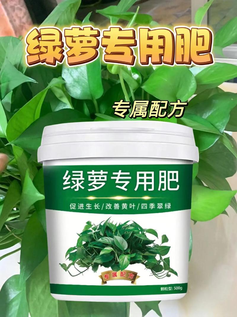 绿萝施什么肥好，种绿植用什么肥料比较好？-第2张图片-优品飞百科