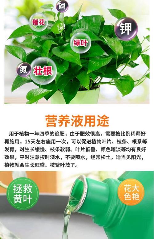 绿萝施什么肥好，种绿植用什么肥料比较好？-第3张图片-优品飞百科