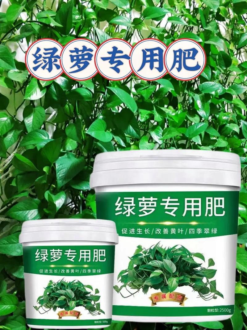 绿萝施什么肥好，种绿植用什么肥料比较好？-第5张图片-优品飞百科