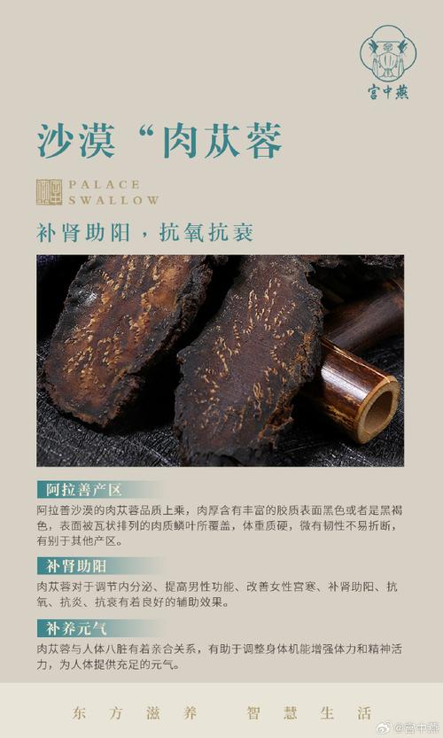 管花肉苁蓉的功效与作用?肉丛苁蓉的功效与作用禁忌?-第6张图片-优品飞百科 管花肉苁蓉的功效与作用?肉丛苁蓉的功效与作用禁忌?-第6张图片-优品飞百科