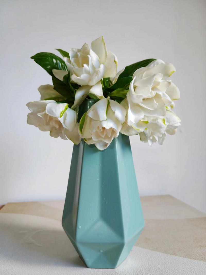 春天栀子花怎么扦插，春天栀子花怎么扦插成活率高-第3张图片-优品飞百科