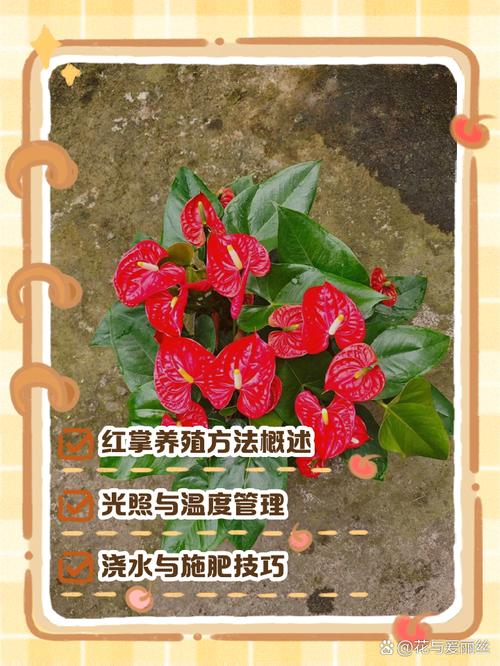 红掌叶子下垂怎么办，红掌叶子下垂怎么办图片-第3张图片-优品飞百科