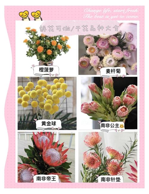 永生花怎么做，永生花怎么做好看又简单？