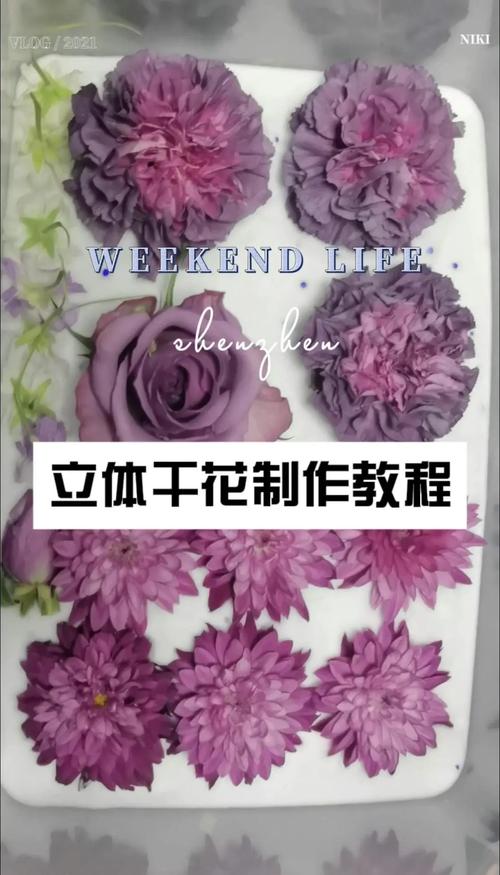 永生花怎么做,永生花怎么做好看又简单?-第4张图片-优品飞百科 永生花怎么做,永生花怎么做好看又简单?-第4张图片-优品飞百科