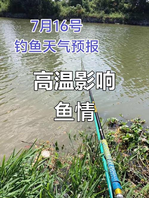 上海嘉定天气预报天气?上海嘉定天气预报天气15天?-第5张图片-优品飞百科 上海嘉定天气预报天气?上海嘉定天气预报天气15天?-第5张图片-优品飞百科