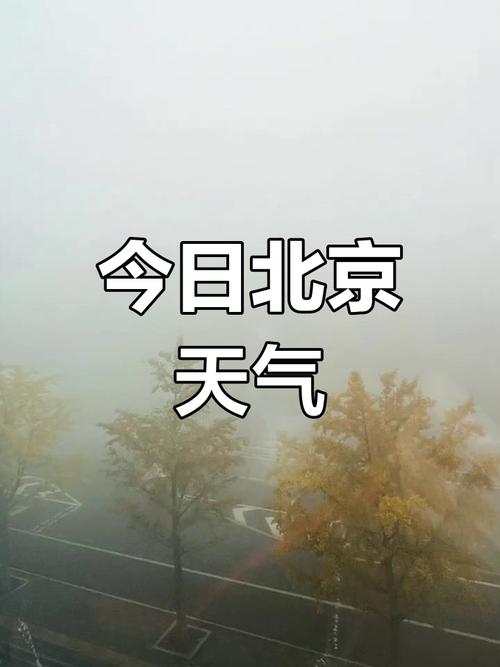北京一月底天气？北京一月内天气？-第8张图片-优品飞百科