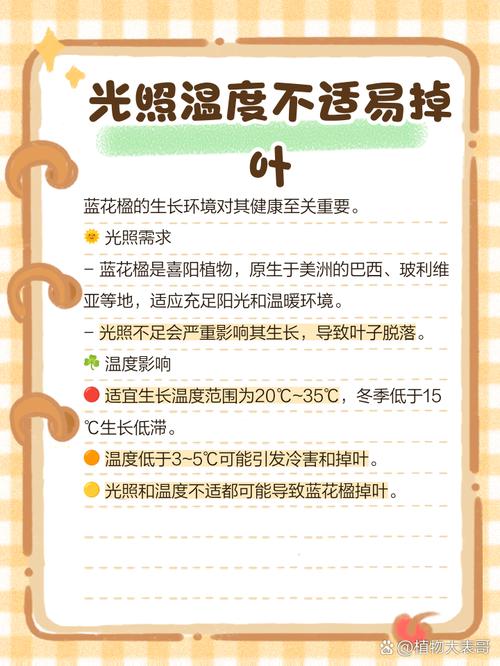 蓝石莲掉叶子怎么办?蓝石莲底部叶子枯萎?-第4张图片-优品飞百科 蓝石莲掉叶子怎么办?蓝石莲底部叶子枯萎?-第4张图片-优品飞百科