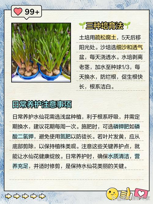 海仙花的养护方法及注意事项，海仙花的养护方法及注意事项图片？-第2张图片-优品飞百科