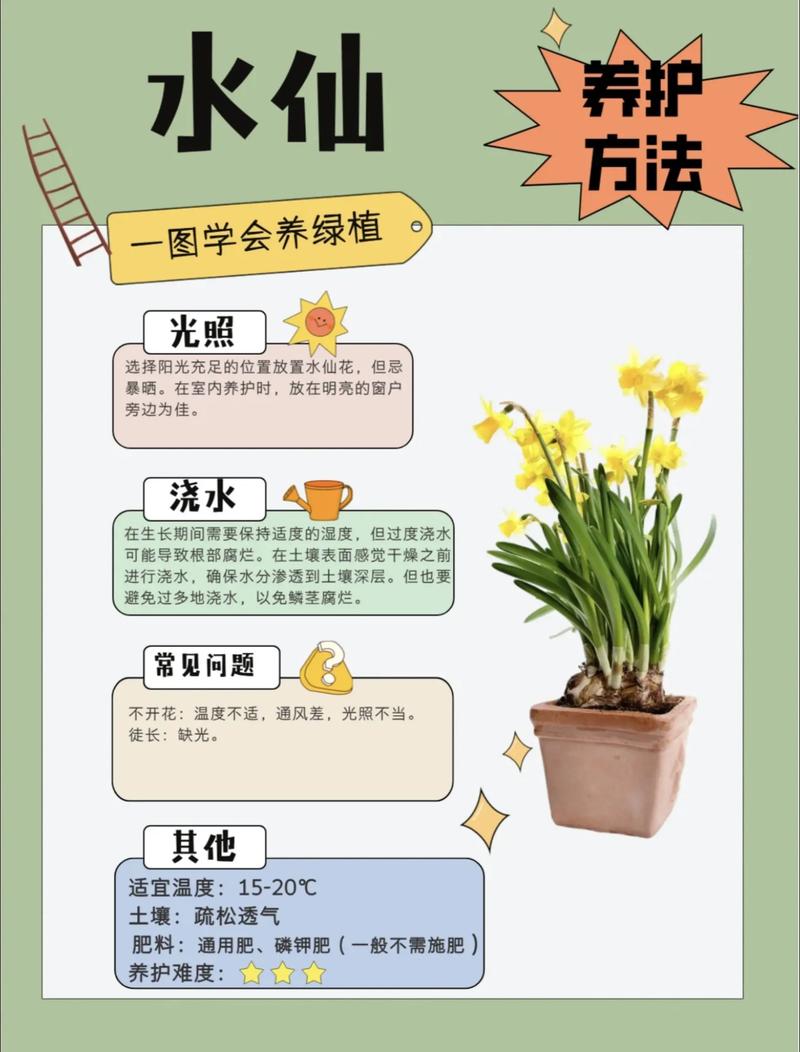 海仙花的养护方法及注意事项，海仙花的养护方法及注意事项图片？-第6张图片-优品飞百科