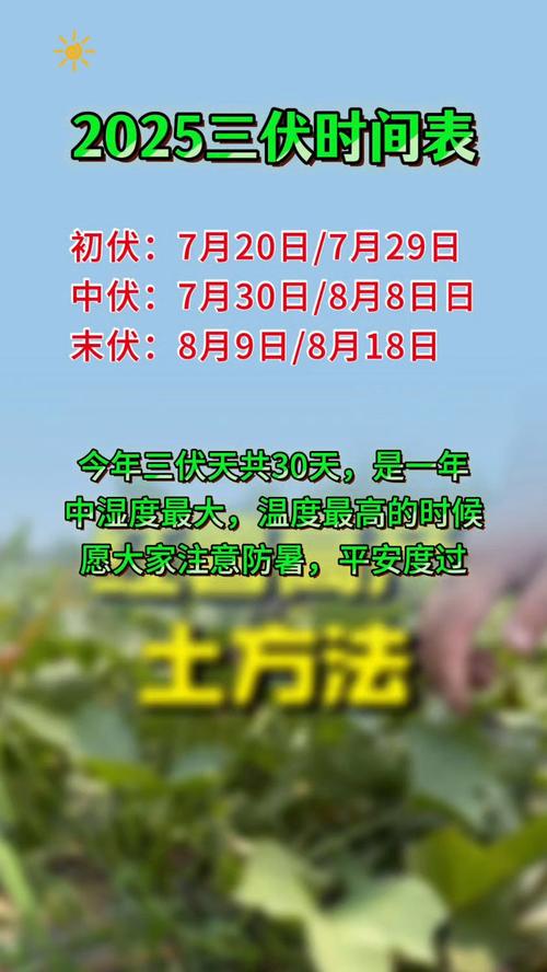 种萝卜的时间，种萝卜什么时间比较好-第2张图片-优品飞百科