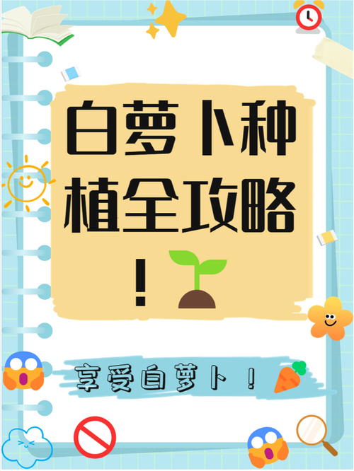 种萝卜的时间，种萝卜什么时间比较好-第4张图片-优品飞百科