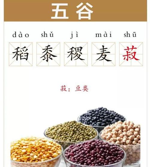 小麦是什么，和水稻的区别是什么，小麦是什么,和水稻的区别是什么呢？