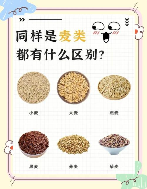 小麦是什么，和水稻的区别是什么，小麦是什么,和水稻的区别是什么呢？-第3张图片-优品飞百科