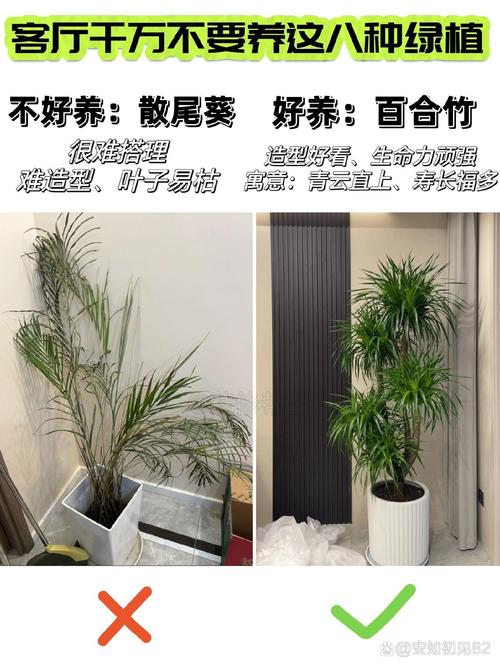 客厅用多大的花盆，客厅放花盆有讲究吗，客厅放多大的花盆合适？-第3张图片-优品飞百科