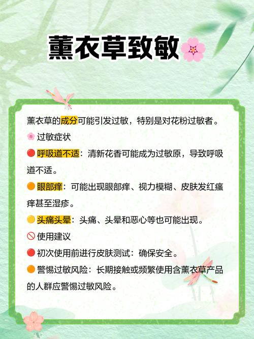 羽叶薰衣草枯萎了怎么办，羽叶薰衣草什么时候开花-第2张图片-优品飞百科
