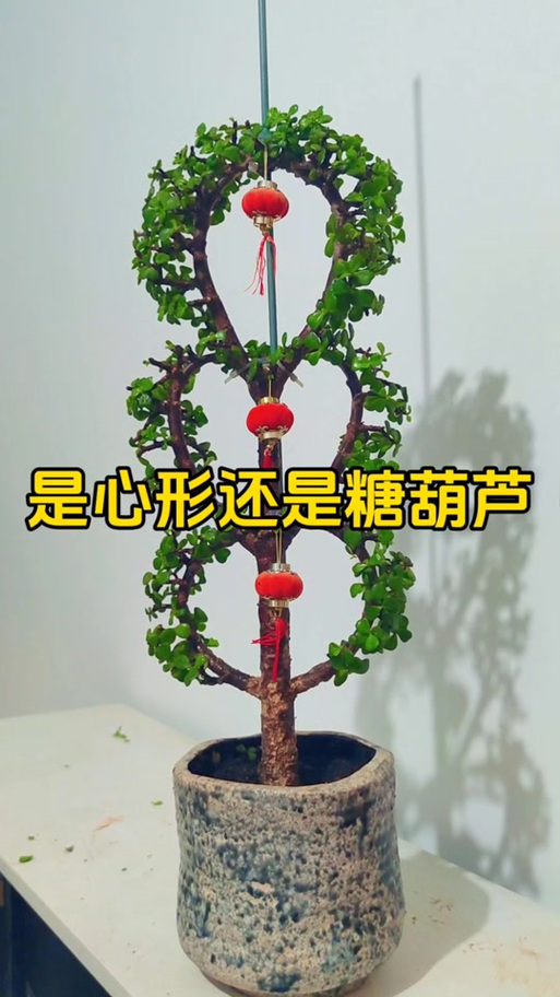 葫芦叶子发黄怎么办,葫芦叶子发黄怎么处理?-第3张图片-优品飞百科 葫芦叶子发黄怎么办,葫芦叶子发黄怎么处理?-第3张图片-优品飞百科