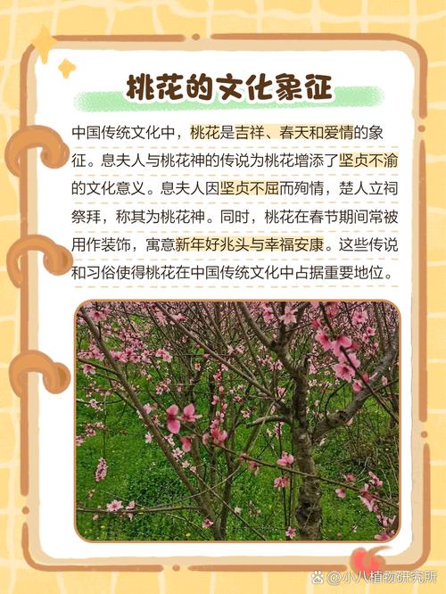 桃花是什么意思，桃花的图片，桃花 是什么意思-第4张图片-优品飞百科