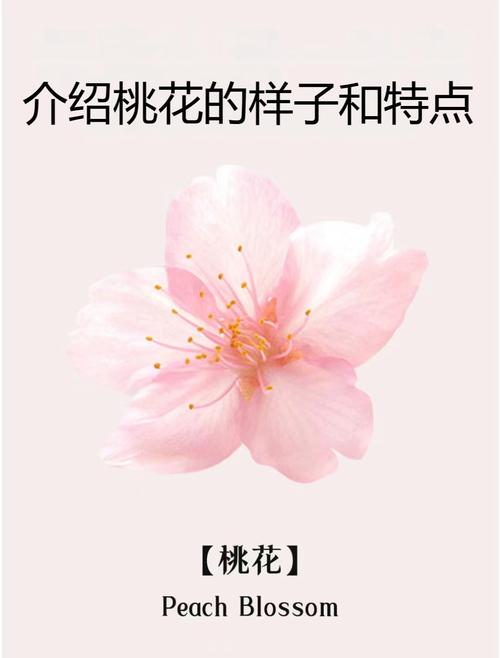 桃花是什么意思，桃花的图片，桃花 是什么意思-第6张图片-优品飞百科