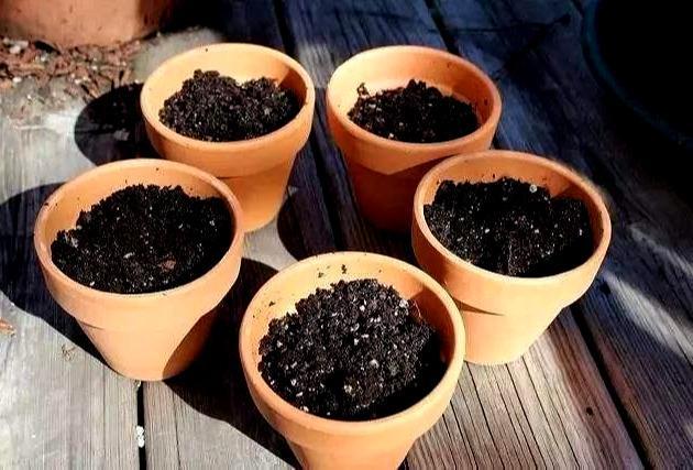 伊利天气预报7天？天气预报15天查询伊犁？-第2张图片-优品飞百科