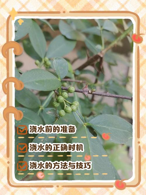 花椒的养殖方法和注意事项，花椒养殖技术-第2张图片-优品飞百科