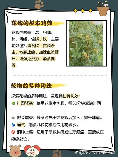 花椒的养殖方法和注意事项，花椒养殖技术-第5张图片-优品飞百科