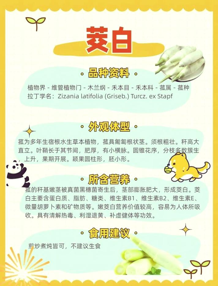 茨菰的养殖方法和注意事项，茨菇种植技术与栽培管理-第2张图片-优品飞百科