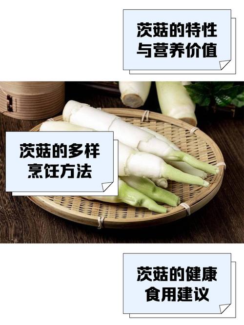 茨菰的养殖方法和注意事项，茨菇种植技术与栽培管理-第3张图片-优品飞百科