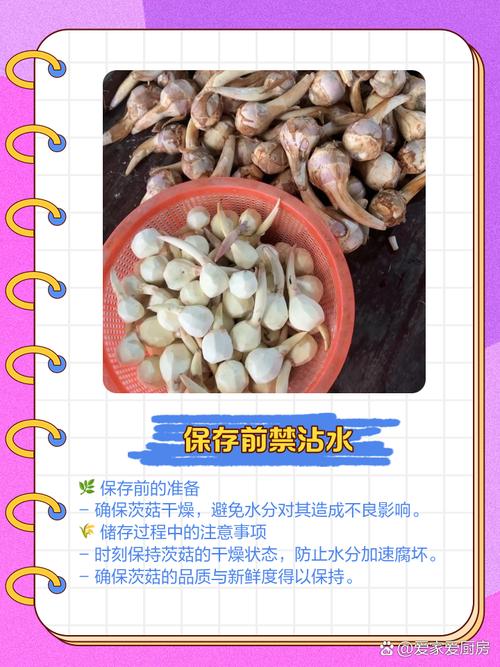 茨菰的养殖方法和注意事项，茨菇种植技术与栽培管理-第5张图片-优品飞百科