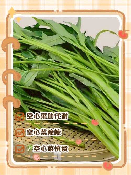 空心菜的价值？空心菜的价值与作用？-第2张图片-优品飞百科