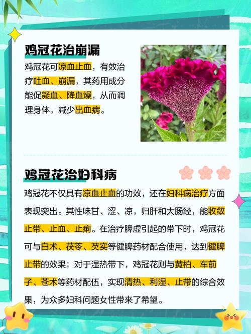 鸡冠花冬天养殖的禁忌，鸡冠花能越冬吗？-第3张图片-优品飞百科