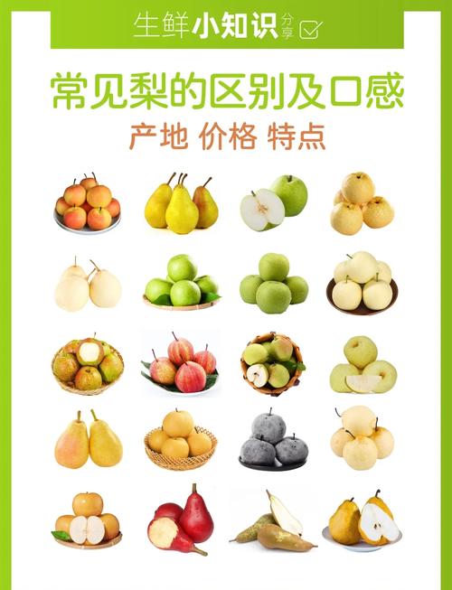 梨的品种有哪些，运城梨的品种有哪些-第1张图片-优品飞百科