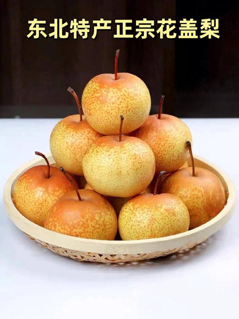 梨的品种有哪些，运城梨的品种有哪些-第3张图片-优品飞百科