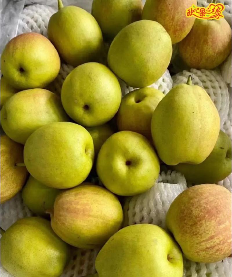 梨的品种有哪些，运城梨的品种有哪些-第6张图片-优品飞百科
