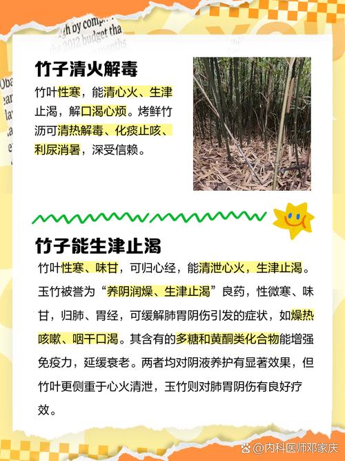 竹子有哪些应用价值?竹子的许多用途?-第3张图片-优品飞百科 竹子有哪些应用价值?竹子的许多用途?-第3张图片-优品飞百科