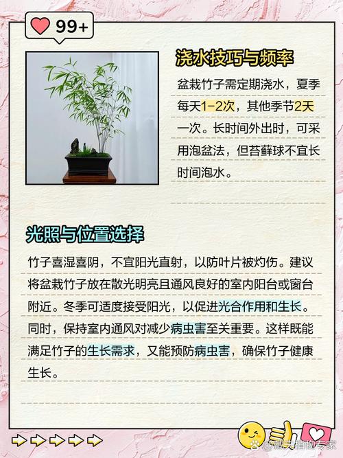 竹子有哪些应用价值?竹子的许多用途?-第4张图片-优品飞百科 竹子有哪些应用价值?竹子的许多用途?-第4张图片-优品飞百科