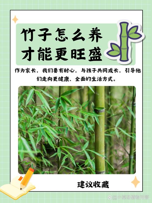 竹子有哪些应用价值?竹子的许多用途?-第7张图片-优品飞百科 竹子有哪些应用价值?竹子的许多用途?-第7张图片-优品飞百科