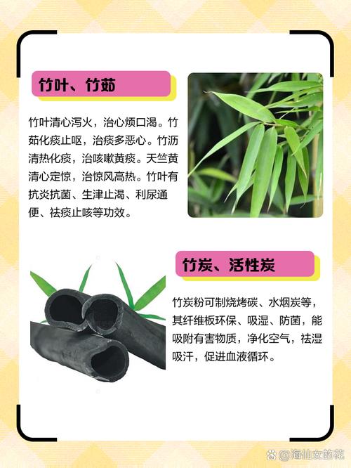 竹子有哪些应用价值?竹子的许多用途?-第8张图片-优品飞百科 竹子有哪些应用价值?竹子的许多用途?-第8张图片-优品飞百科