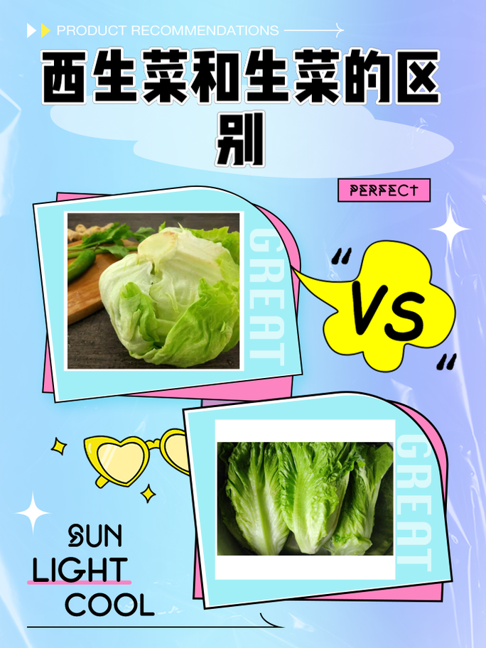 西生菜和生菜的区别，西生菜和生菜哪个好吃？-第1张图片-优品飞百科