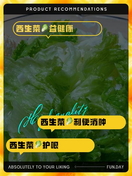 西生菜和生菜的区别，西生菜和生菜哪个好吃？-第3张图片-优品飞百科
