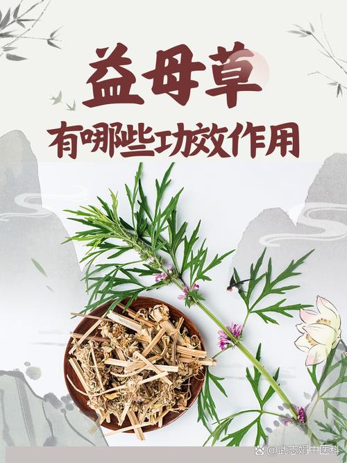 益母草的功效与作用?益母草的功效与作用及禁忌?-第2张图片-优品飞百科 益母草的功效与作用?益母草的功效与作用及禁忌?-第2张图片-优品飞百科