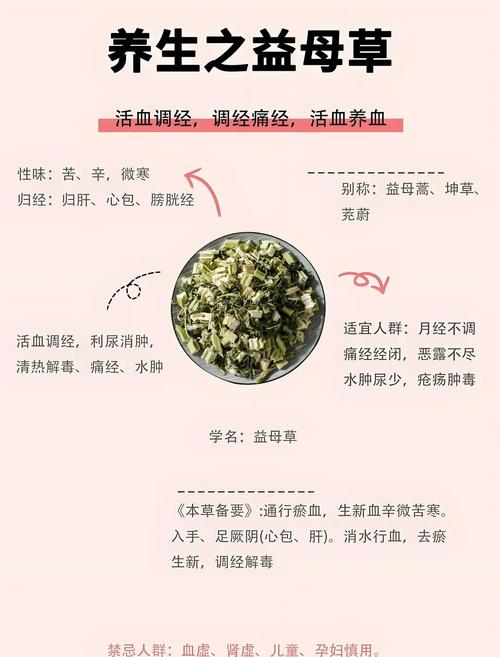 益母草的功效与作用?益母草的功效与作用及禁忌?-第8张图片-优品飞百科 益母草的功效与作用?益母草的功效与作用及禁忌?-第8张图片-优品飞百科