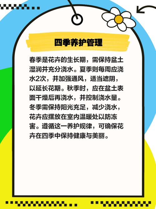 八仙花怎么养？八仙花怎么养护？