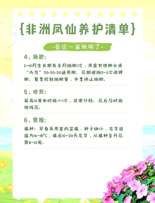 非洲凤仙的养殖方法和注意事项，非洲凤仙播种方法？-第5张图片-优品飞百科