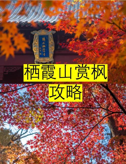 南京栖霞天气小时预报，南京栖霞天气24时？