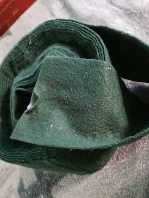 树木扼杀者的养殖方法和注意事项，树木扼杀者的养殖方法和注意事项是什么-第5张图片-优品飞百科