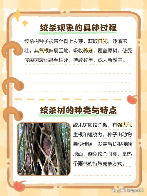 树木扼杀者的养殖方法和注意事项，树木扼杀者的养殖方法和注意事项是什么-第7张图片-优品飞百科