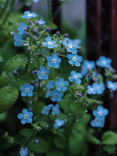 前十不吉利花，绿萝放哪不破财前十不吉利花？-第2张图片-优品飞百科