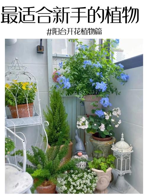 虎刺梅为什么不开花，我养的虎刺梅为什么不开花？-第3张图片-优品飞百科