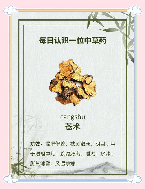 苍术的功效与作用？白术的功效与作用？